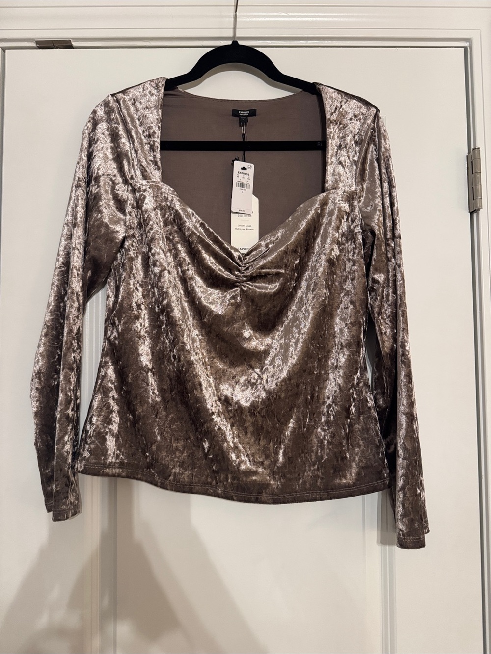 Express Metallic Taupe Velvet Long Sleeve  Top